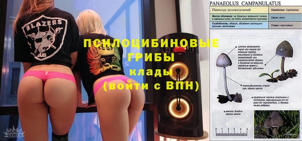 гидропоника Новозыбков