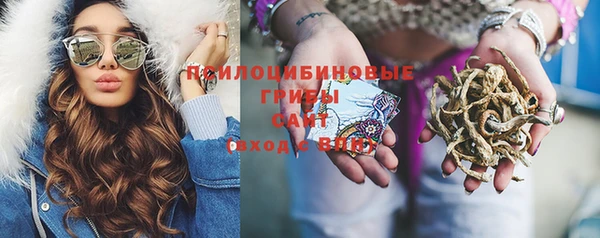 гидропоника Новозыбков