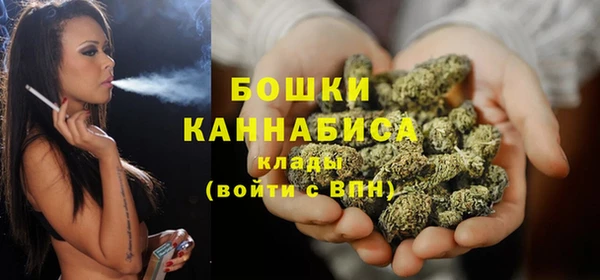 гидропоника Новозыбков