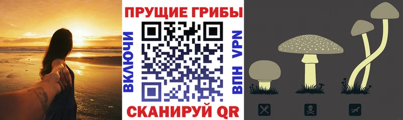 Галлюциногенные грибы мицелий  Луза 